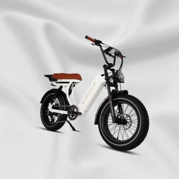 REVER SAFARI DS - Image 6