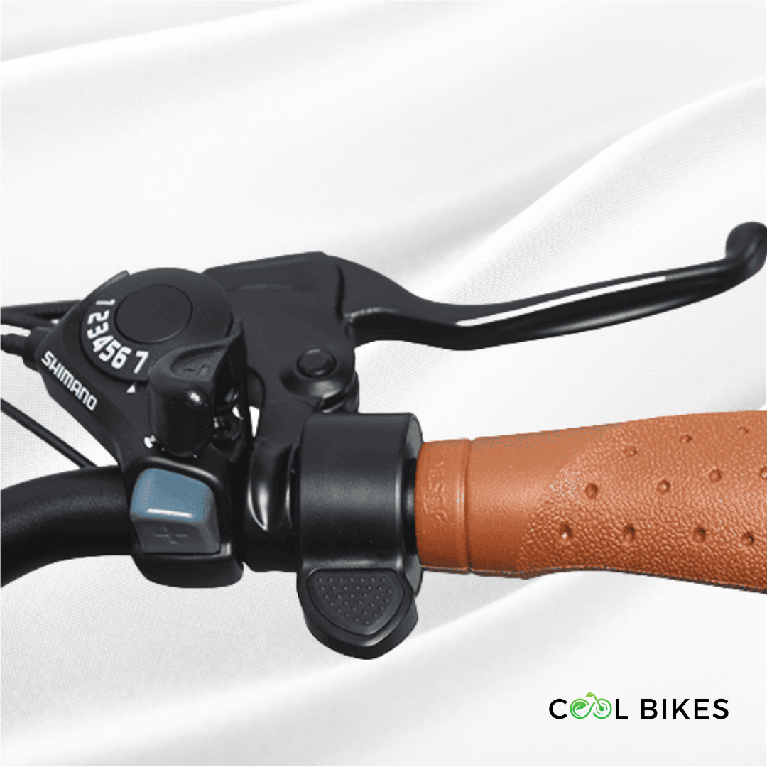 MUV Dutch electric bike with step-through frame and long-range battery, perfect for comfortable city rides in Sydney.