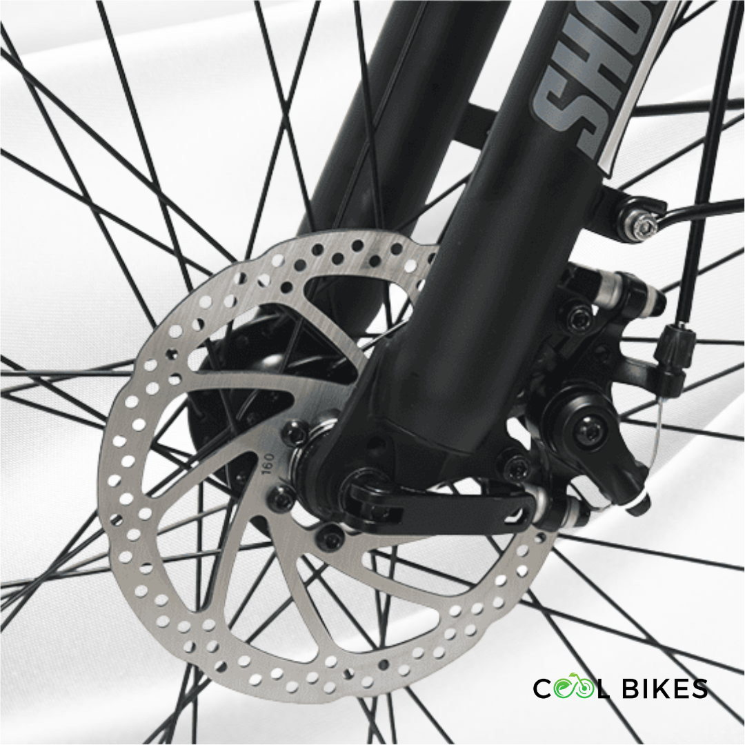 MUV Dutch electric bike with step-through frame and long-range battery, perfect for comfortable city rides in Sydney.