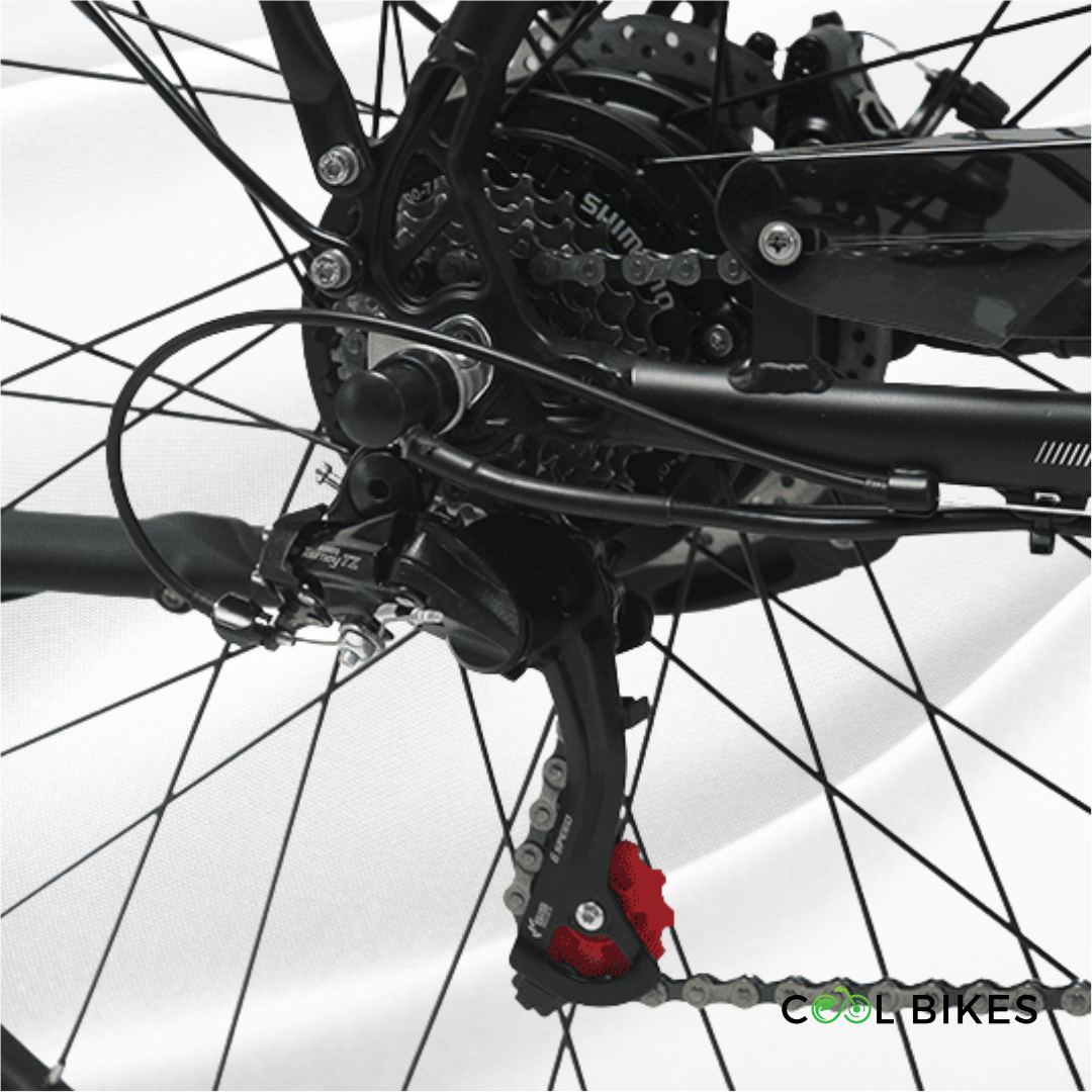 MUV Dutch electric bike with step-through frame and long-range battery, perfect for comfortable city rides in Sydney.